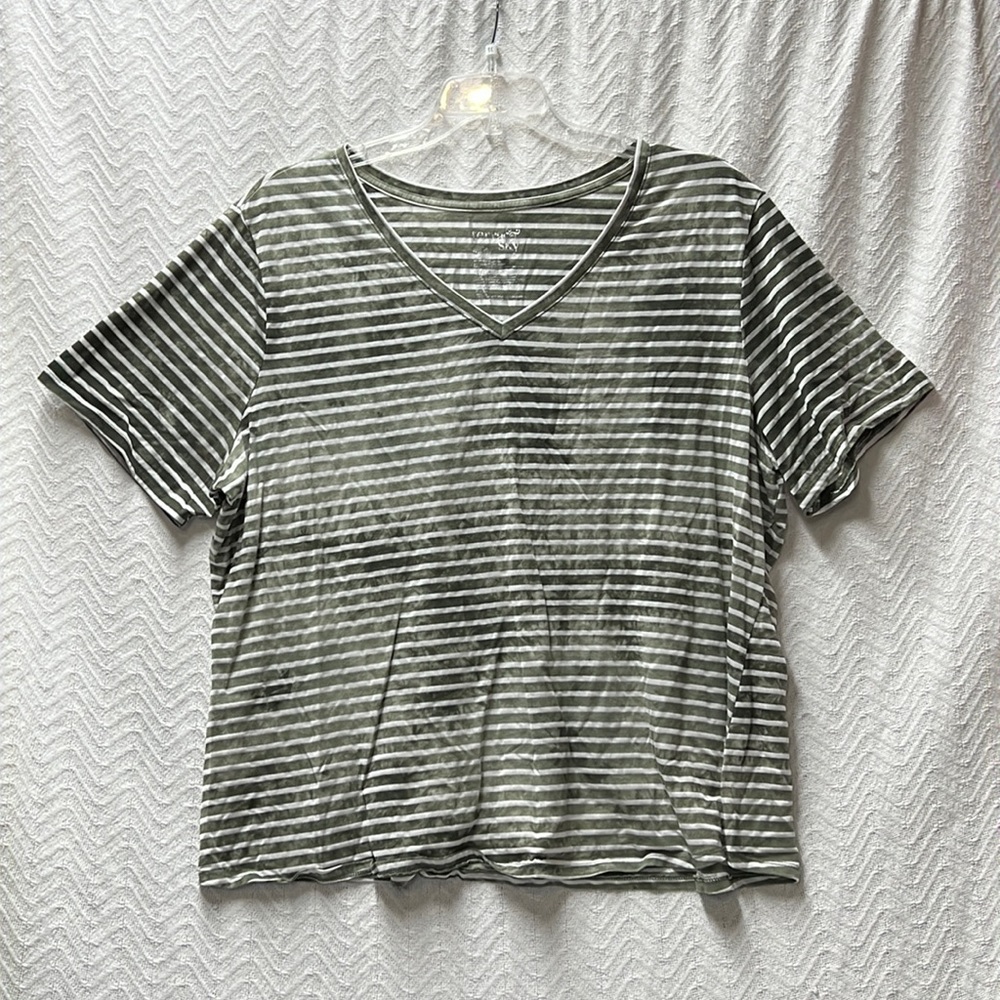 Terra & Sky Green and White striped top in 3X in great shape